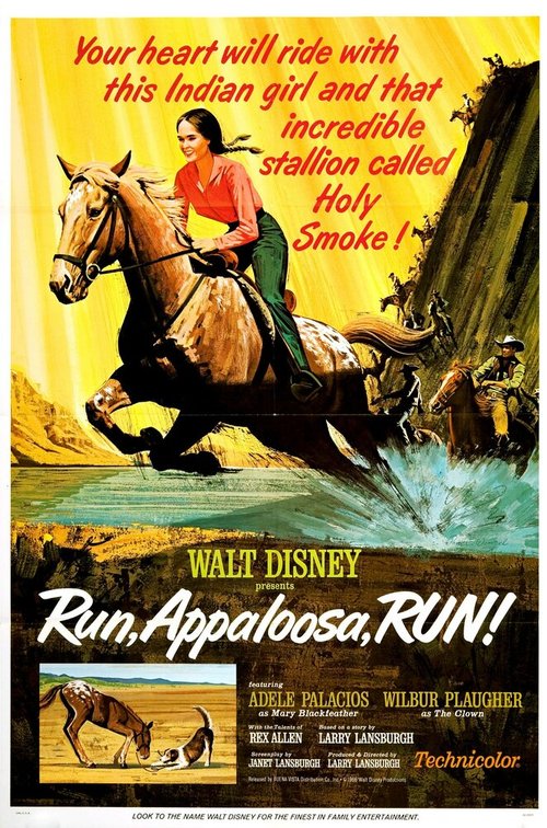 Постер Run, Appaloosa, Run