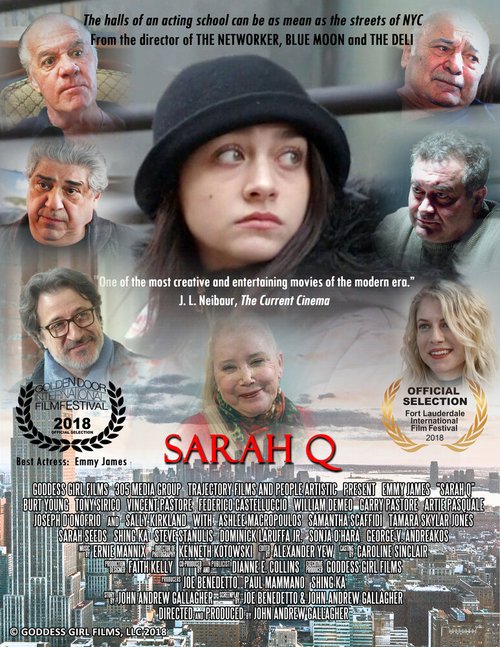 Постер Sarah Q