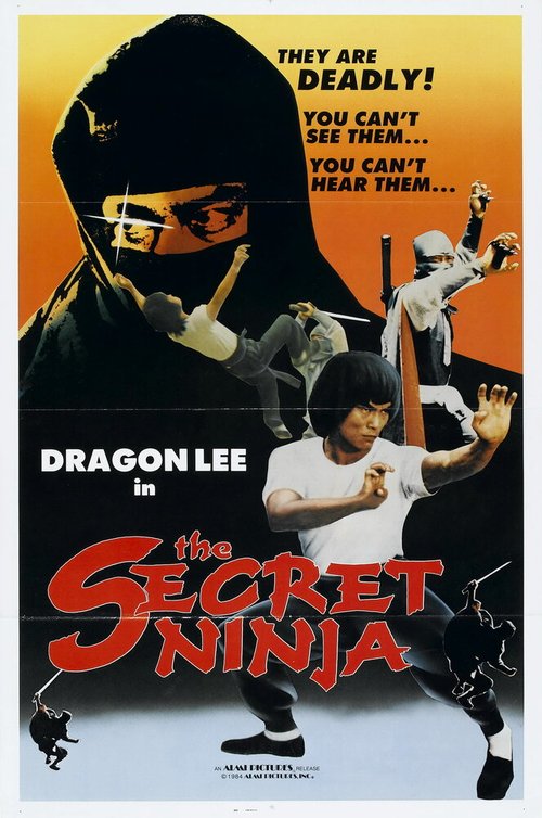 Постер Секрет ниндзя