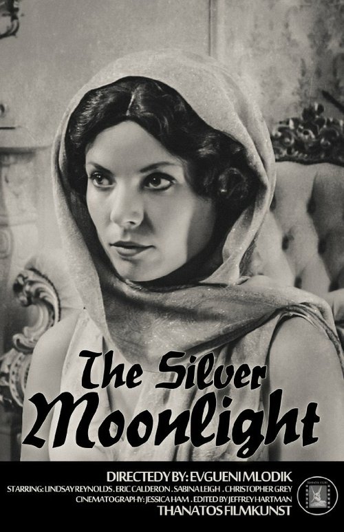 Постер Серебристый свет луны