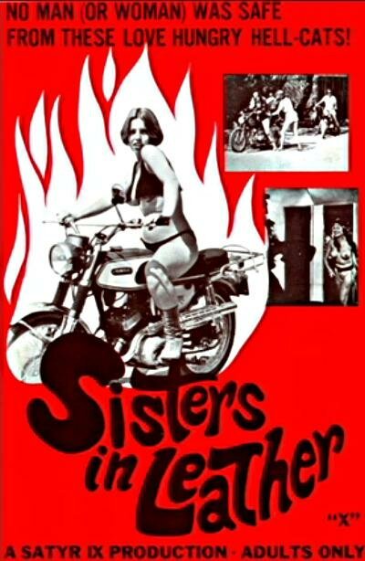 Постер Сестрички в коже