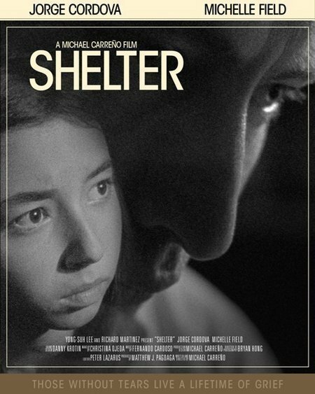 Постер Shelter