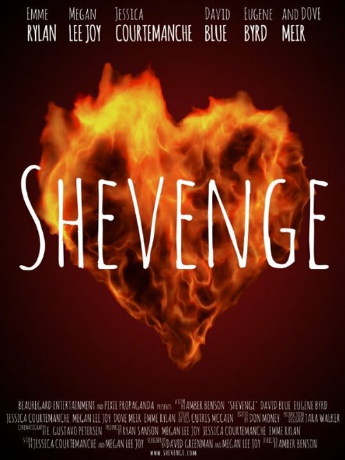 Постер Shevenge