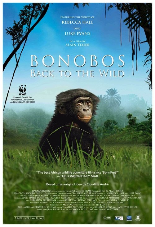 Постер Шимпанзе: Возвращение в дикую природу