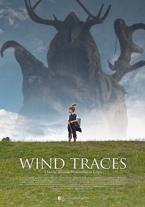 Постер Следы ветра