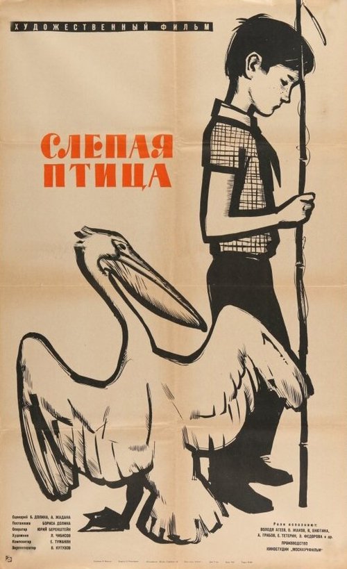Постер Слепая птица