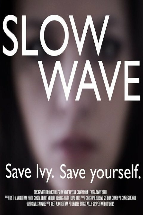 Постер Slow Wave