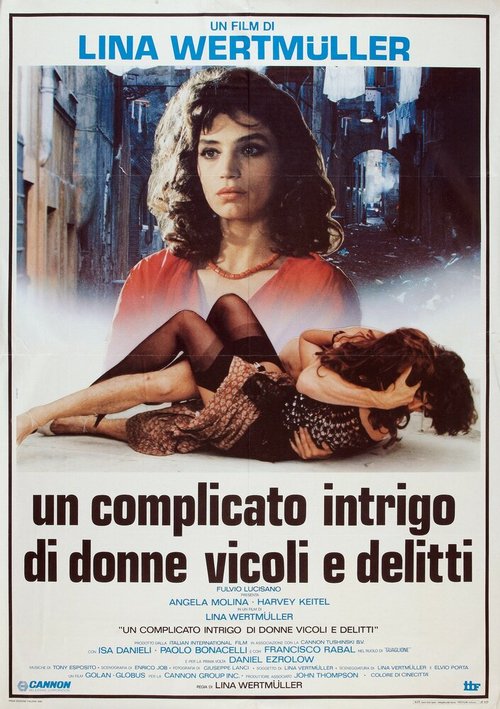 Постер Сложная интрига с женщинами, переулками и преступлениями