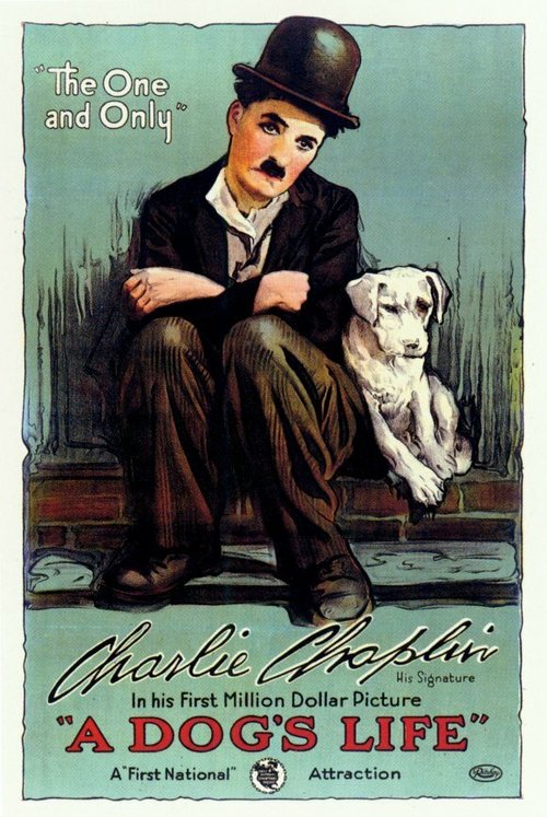 Постер Собачья жизнь