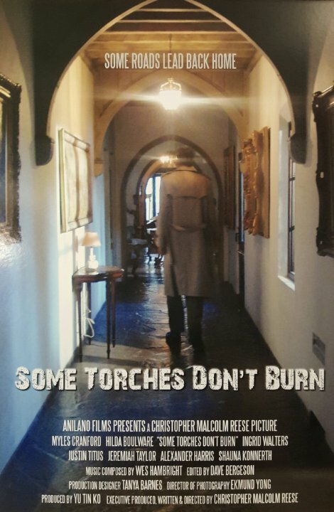 Постер Some Torches Don't Burn