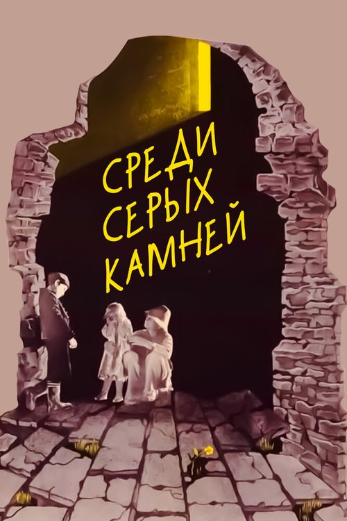 Постер Среди серых камней