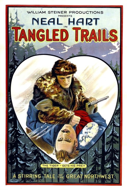 Постер Tangled Trails