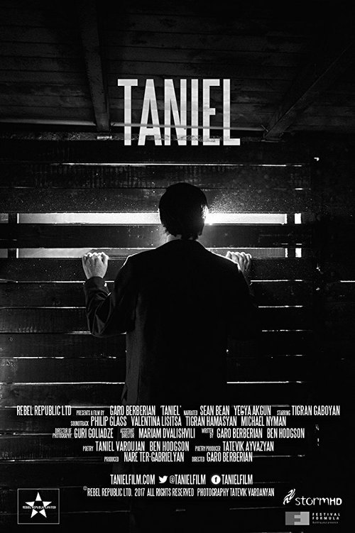 Постер Taniel