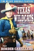 Постер Texas Wildcats