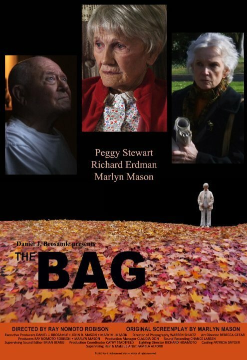 Постер The Bag