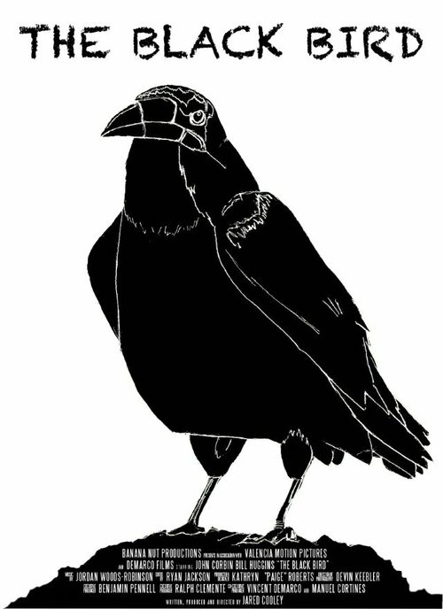 Постер The Black Bird