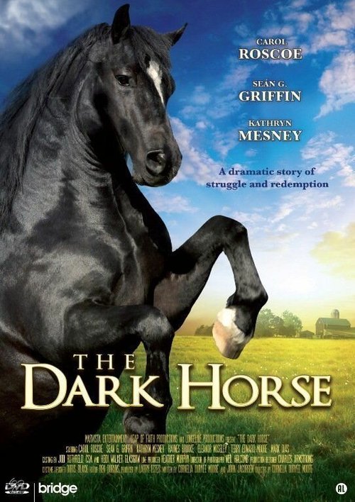 Постер The Dark Horse