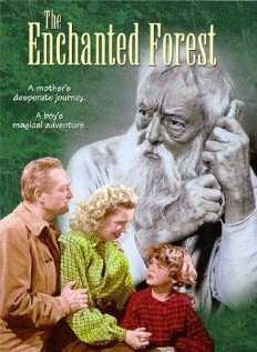 The Enchanted Forest скачать фильм торрент