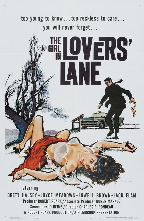 Постер The Girl in Lovers Lane