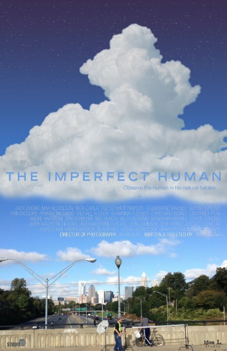 Постер The Imperfect Human