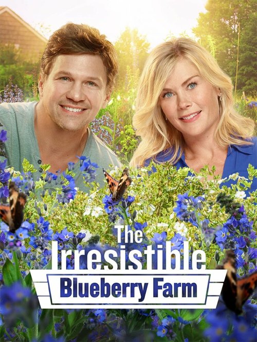 Постер The Irresistible Blueberry Farm