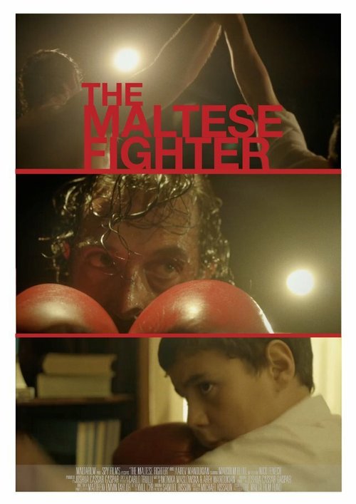 Постер The Maltese Fighter