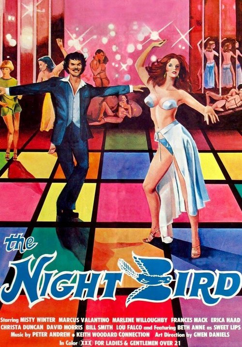 Постер The Night Bird