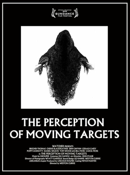 Постер The Perception of Moving Targets
