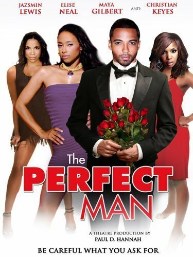 Постер The Perfect Man