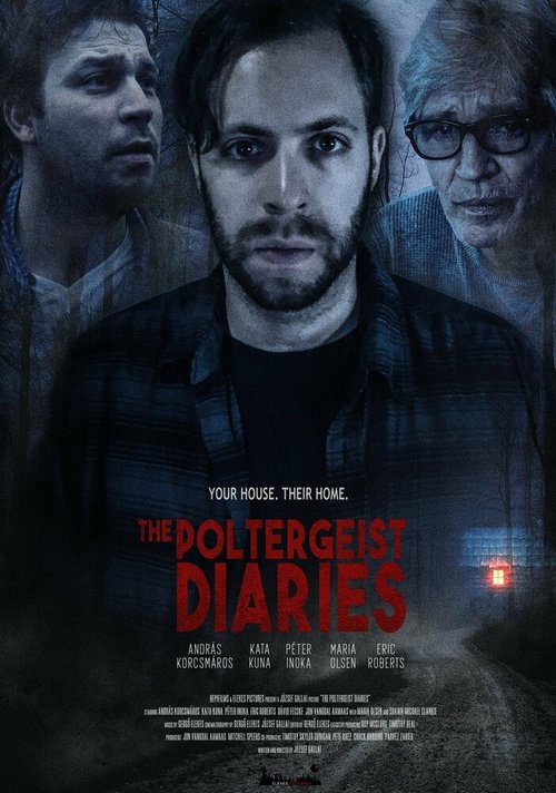Постер The Poltergeist Diaries