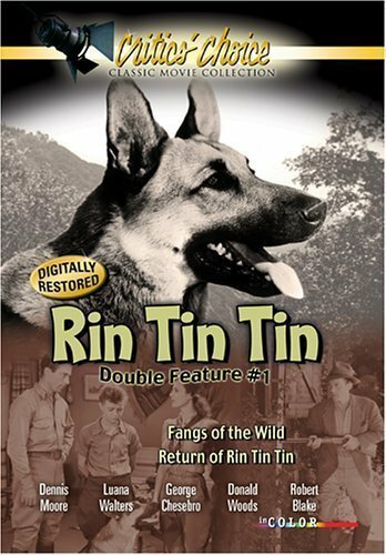 Постер The Return of Rin Tin Tin