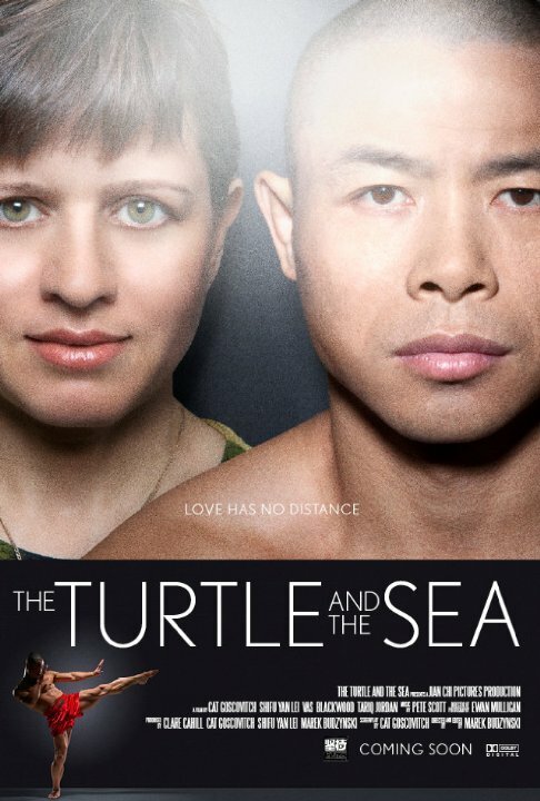 Постер The Turtle and the Sea