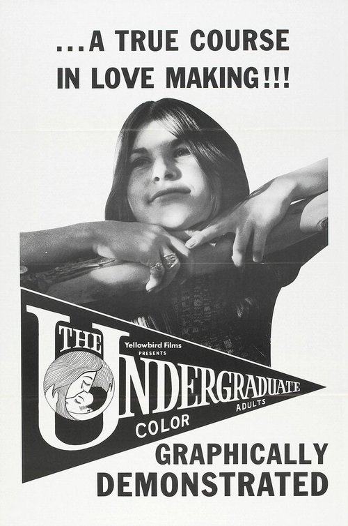 Постер The Undergraduate