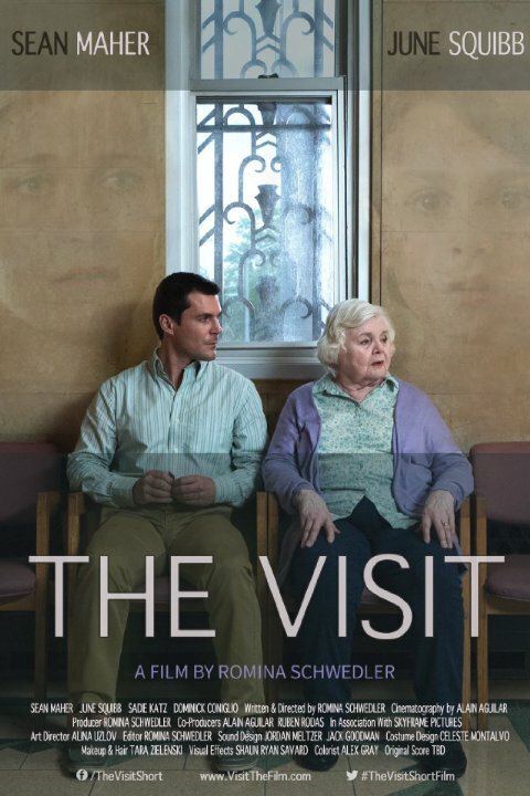 Постер The Visit