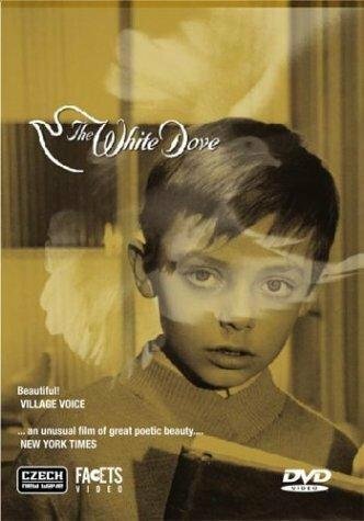 Постер The White Dove