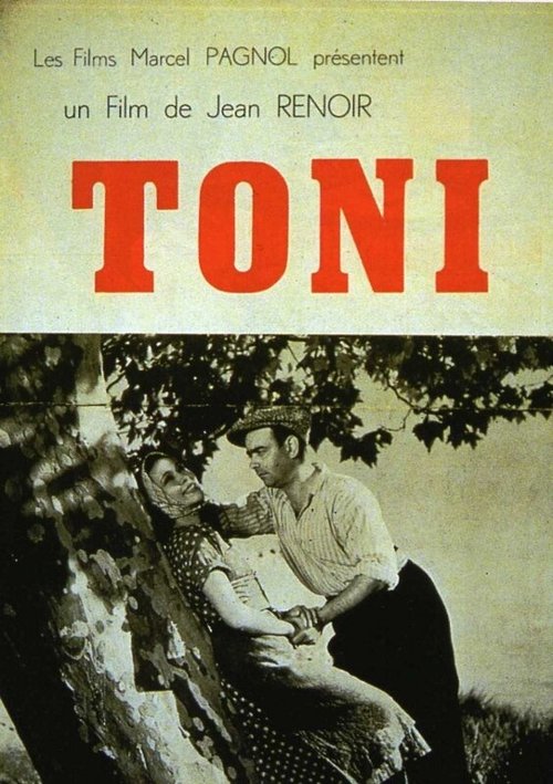Постер Тони