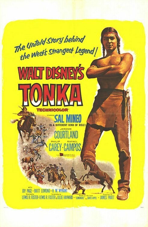 Постер Тонка