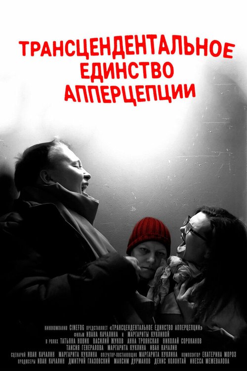 Постер Трансцендентальное единство апперцепции