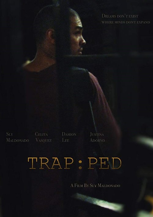 Постер Trapped