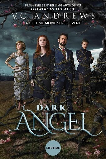 Постер Тёмный ангел