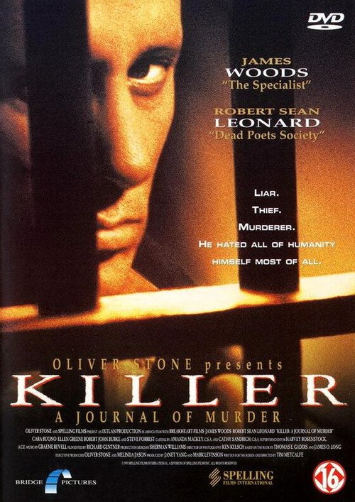 Постер Убийца: Дневник убийств