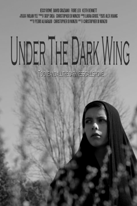 Постер Under the Dark Wing