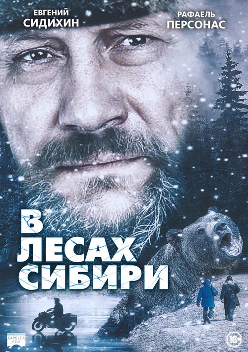 Постер В лесах Сибири