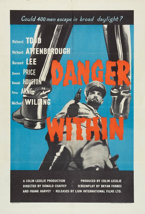 Постер В опасности