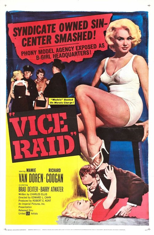 Постер Vice Raid