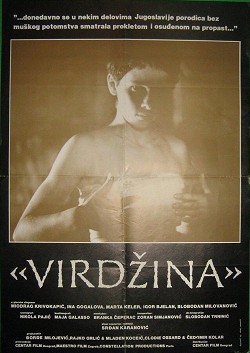 Постер Virdzina