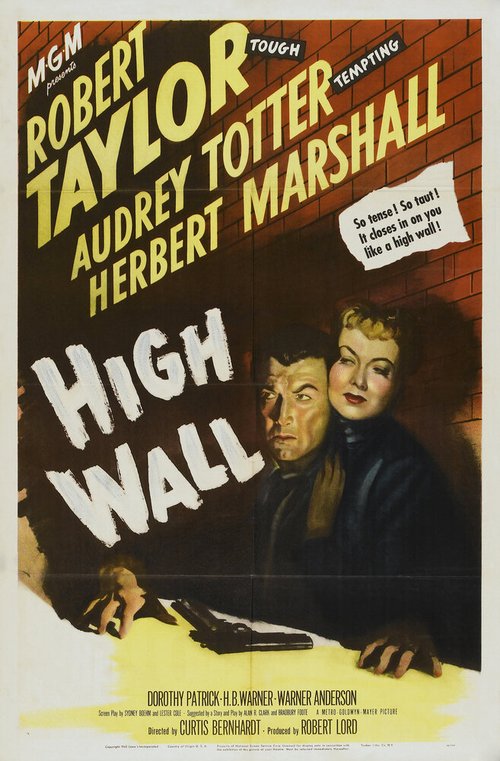 Постер Высокая стена