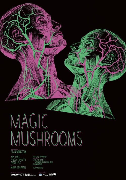 Постер Волшебные грибы