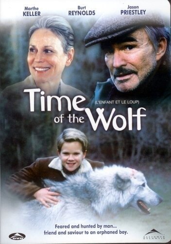 Постер Время волка
