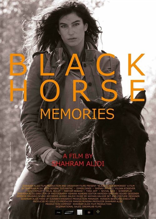 Постер Вспоминая черную лошадь
